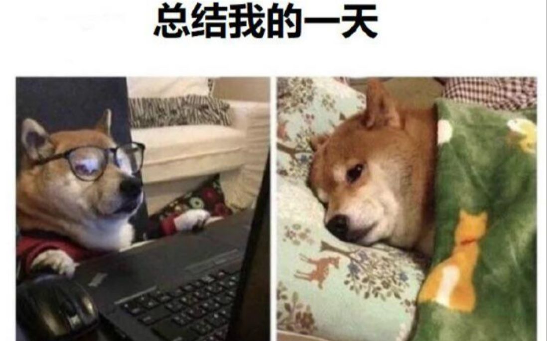 网络上那些能让人笑到窒息的沙雕图片(`・ω・´) 第四十三期