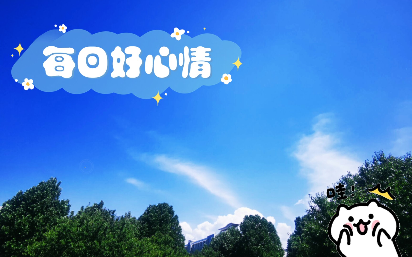 活动作品每日好心情