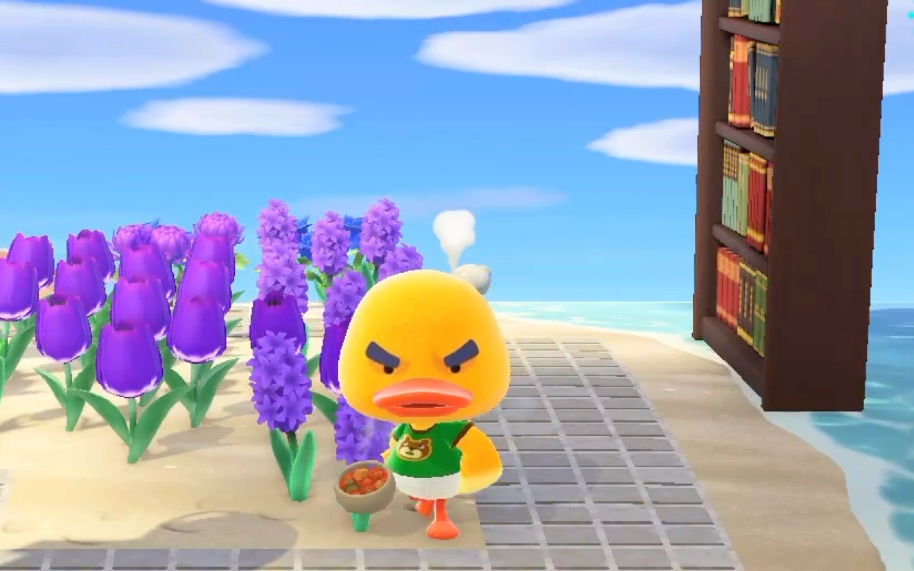 动森之李察暴怒和愉悦(鸭鸭可太可爱了