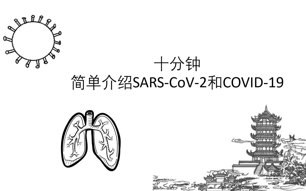 十分钟简单介绍SARSCoV2和COVID19哔哩哔哩bilibili