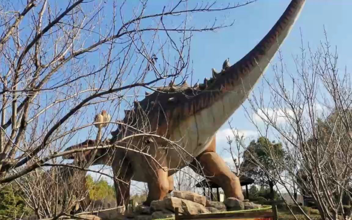 上海市顾村公园恐龙世界