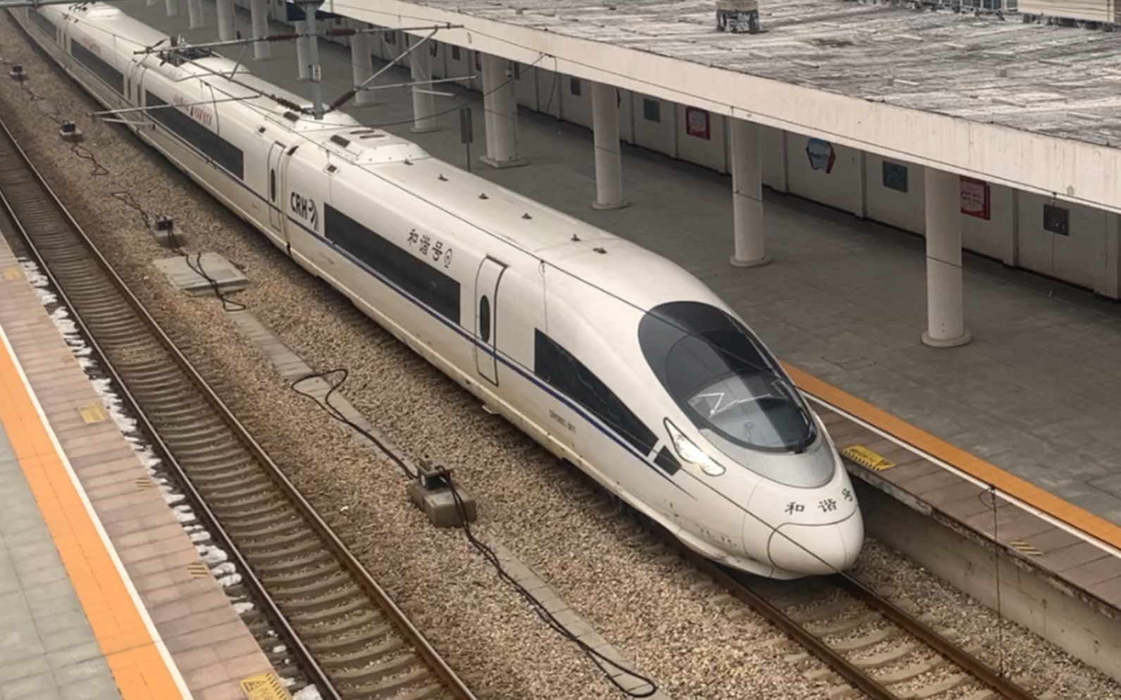 crh380cl鲨鱼图片