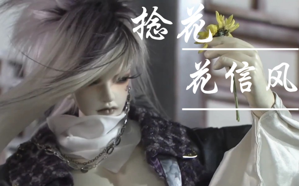 霹雳布袋戏捻花花信风