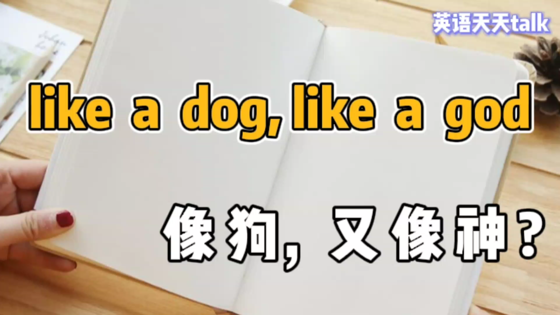 英语“like a dog, like a god”,到底啥意思呢?哔哩哔哩bilibili