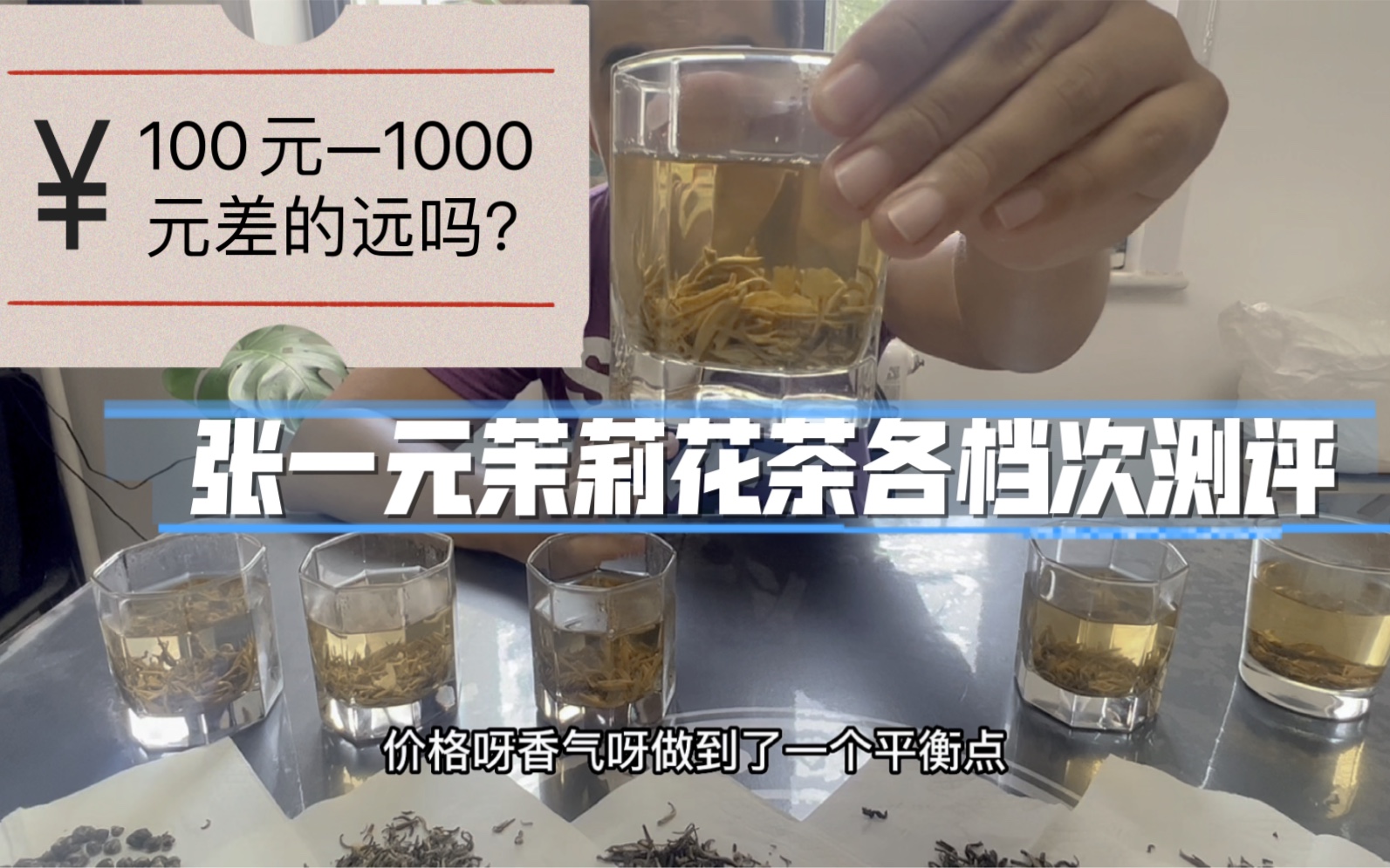 北京张一元茉莉花茶测评,从100元到1000元的区别在哪里?越贵越好喝吗?哔哩哔哩bilibili