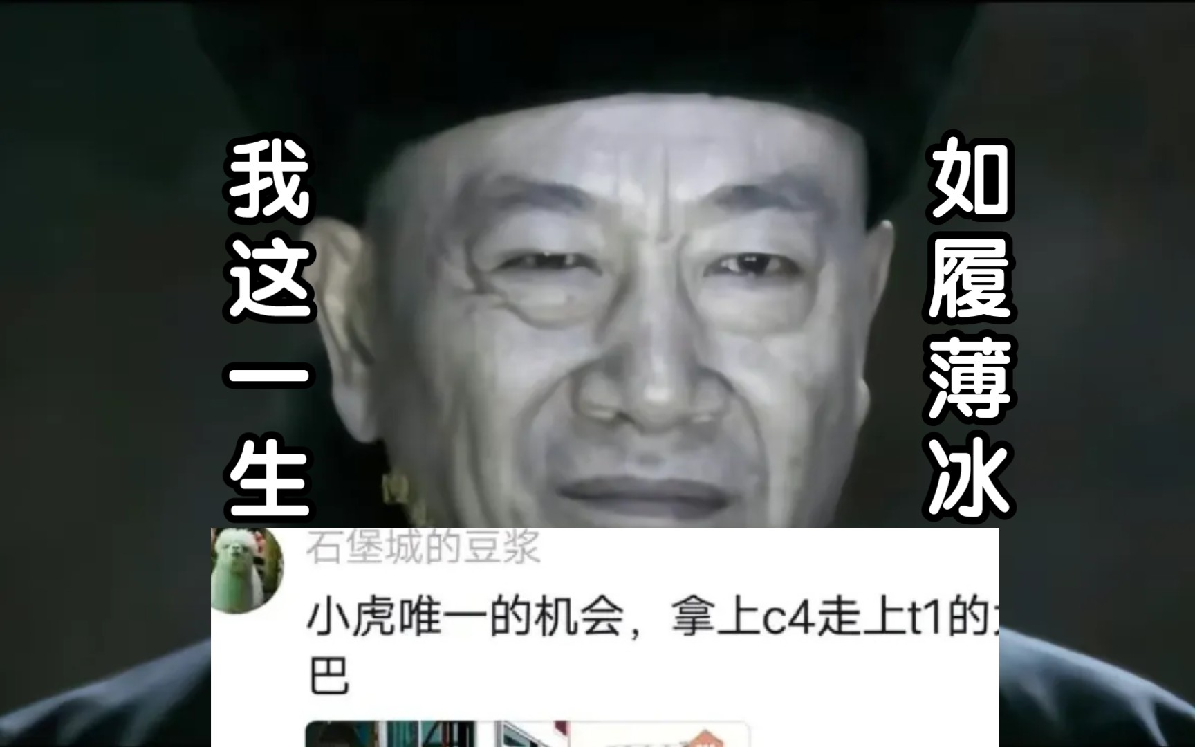 【整活/s13/】小虎祭天,wbg诛仙