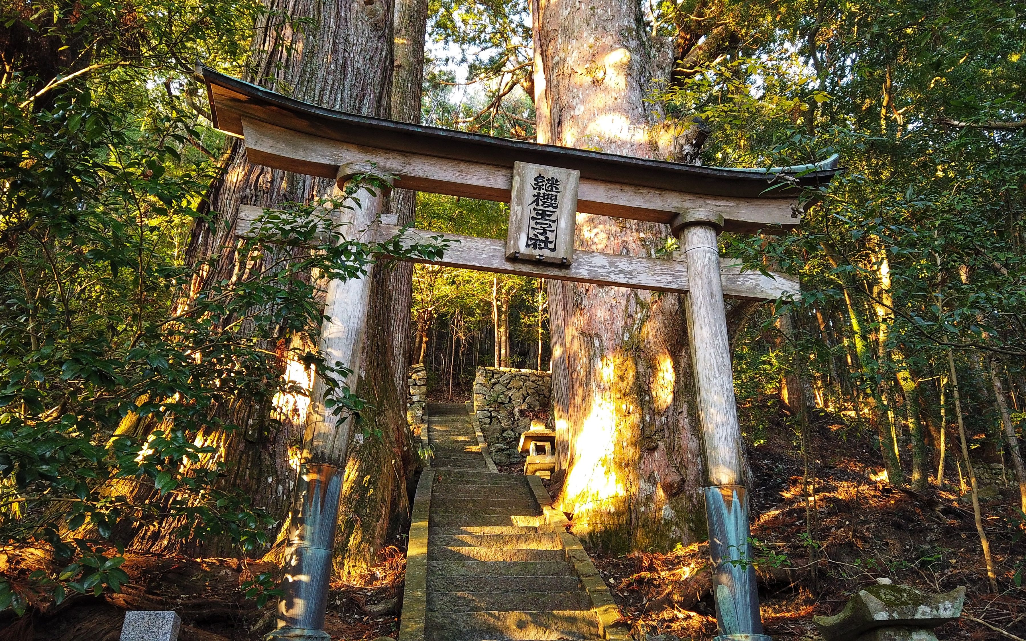 熊野古道d2|步履不停:高原(takahara)-继樱王子(tsugizakura-oji)