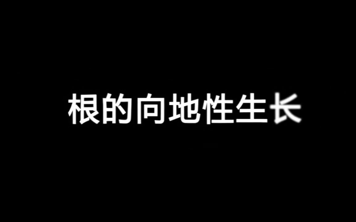 生物选修二:根的向地性哔哩哔哩bilibili