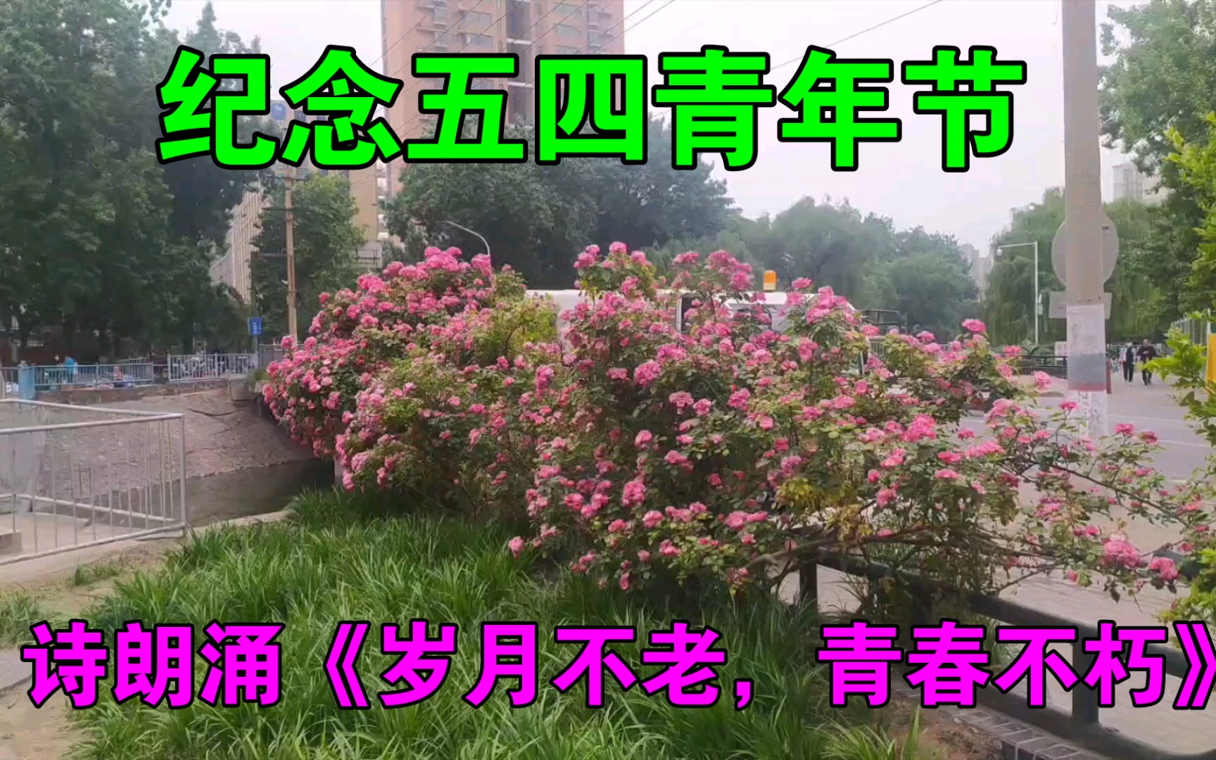 纪念五四青年节诗朗诵《岁月不老,青春不朽》哔哩哔哩bilibili