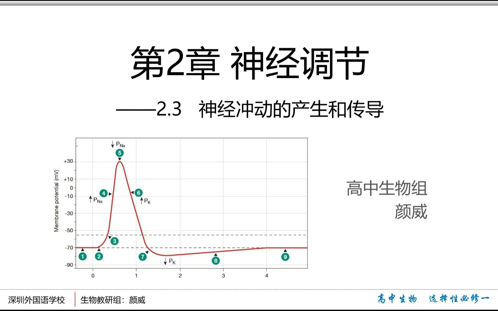 【人教社高中生物选择性必修一】神经冲动的产生和传导 第1课时:静息电位的产生哔哩哔哩bilibili