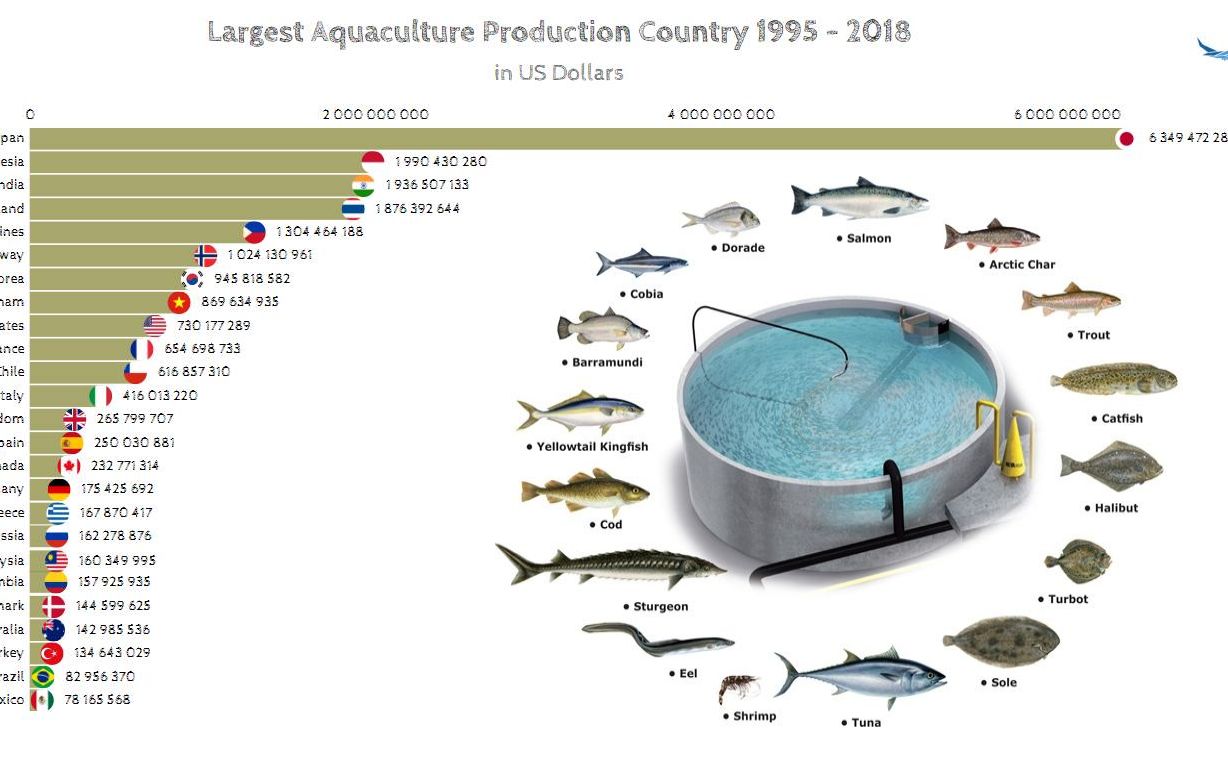 【水产养殖产量】国家排行榜 1995 2018哔哩哔哩bilibili