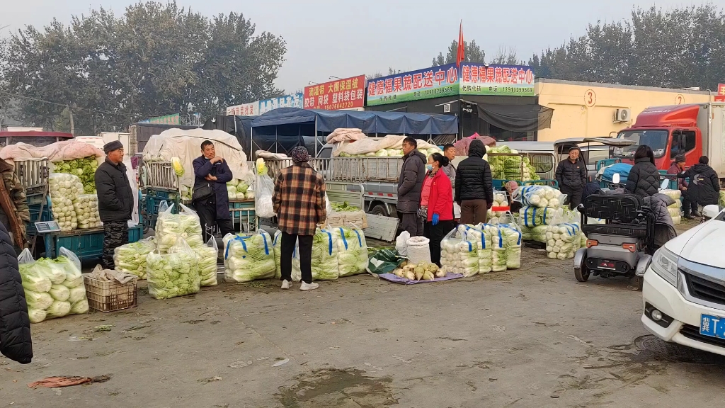 北京周边的蔬菜批发市场,大白菜今年多少钱哔哩哔哩bilibili