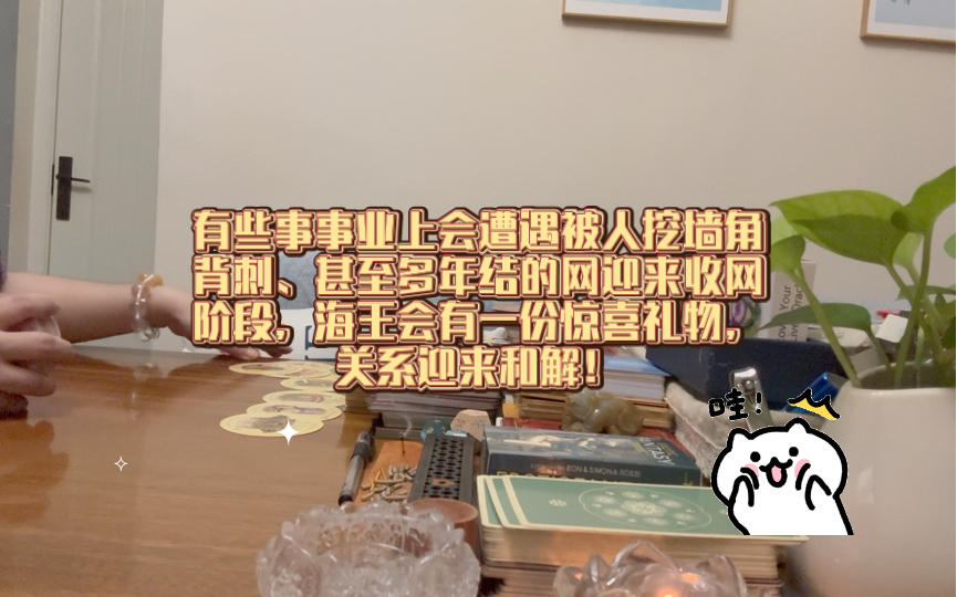 有些人事业上会有小人背刺、挖墙角、甚至是多年前就布局的一个网准备迎来收网阶段!海王会有一份意外的礼物,你们的问题迎来和解!(不限关系)哔...