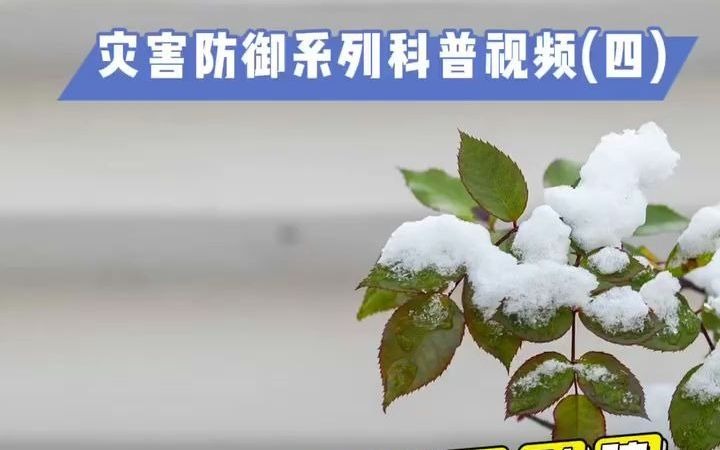 [图]#科普#“应急之星”农业气象 灾害防御系列科普视频（四）大雪对农业的影响