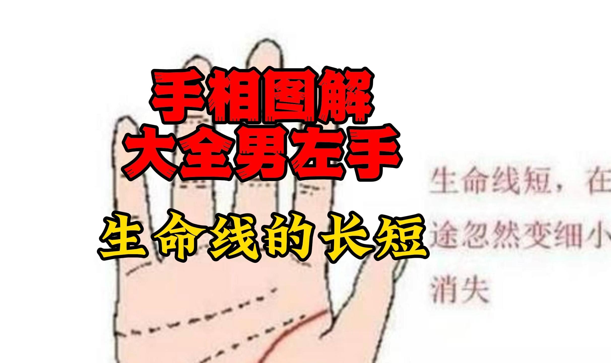 手相图解大全男左手 生命线的长短代表生命力的强弱