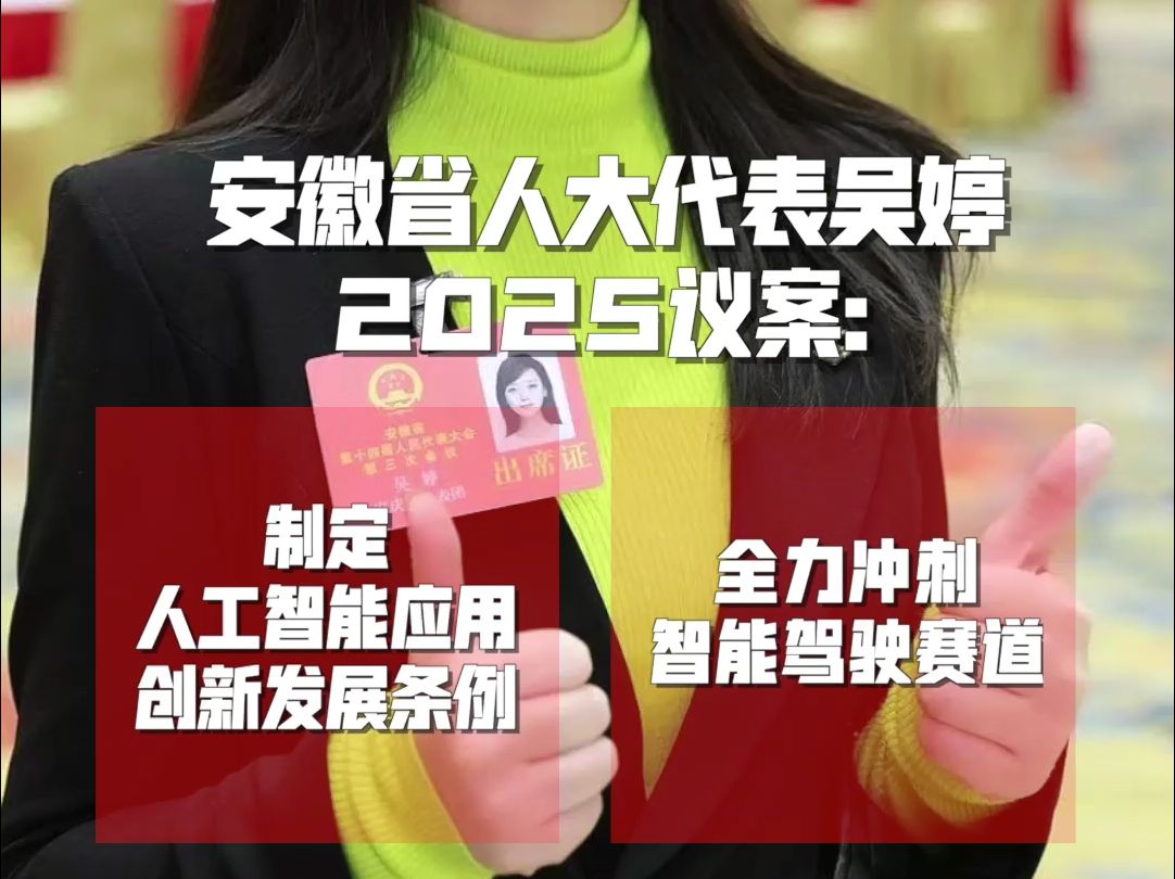 安徽省人大代表吴婷2025议案:制定人工智能应用创新发展条例;全力冲刺智能驾驶赛道.哔哩哔哩bilibili