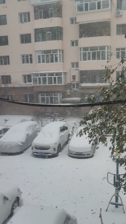 哈尔滨也下雪喽
