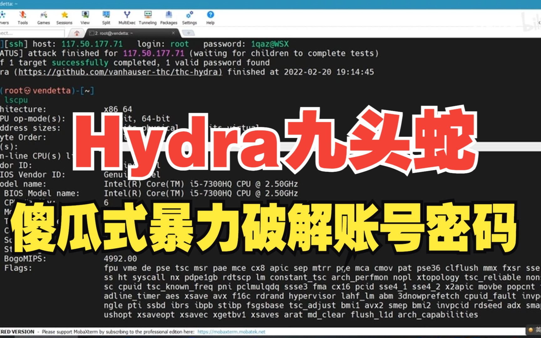 【Hydra教程】10秒钟傻瓜式暴力破解账号密码(附安装包&字典),kali/web/渗透测试/网络安全/密码破解工具哔哩哔哩bilibili