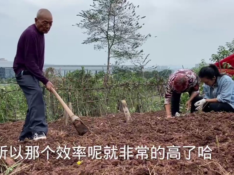 特大好消息,农民的好日子终于来了!全国各地已经开始试点哔哩哔哩bilibili