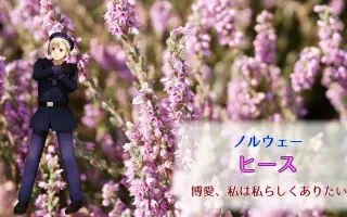 しれとこ 搜索结果 哔哩哔哩 Bilibili