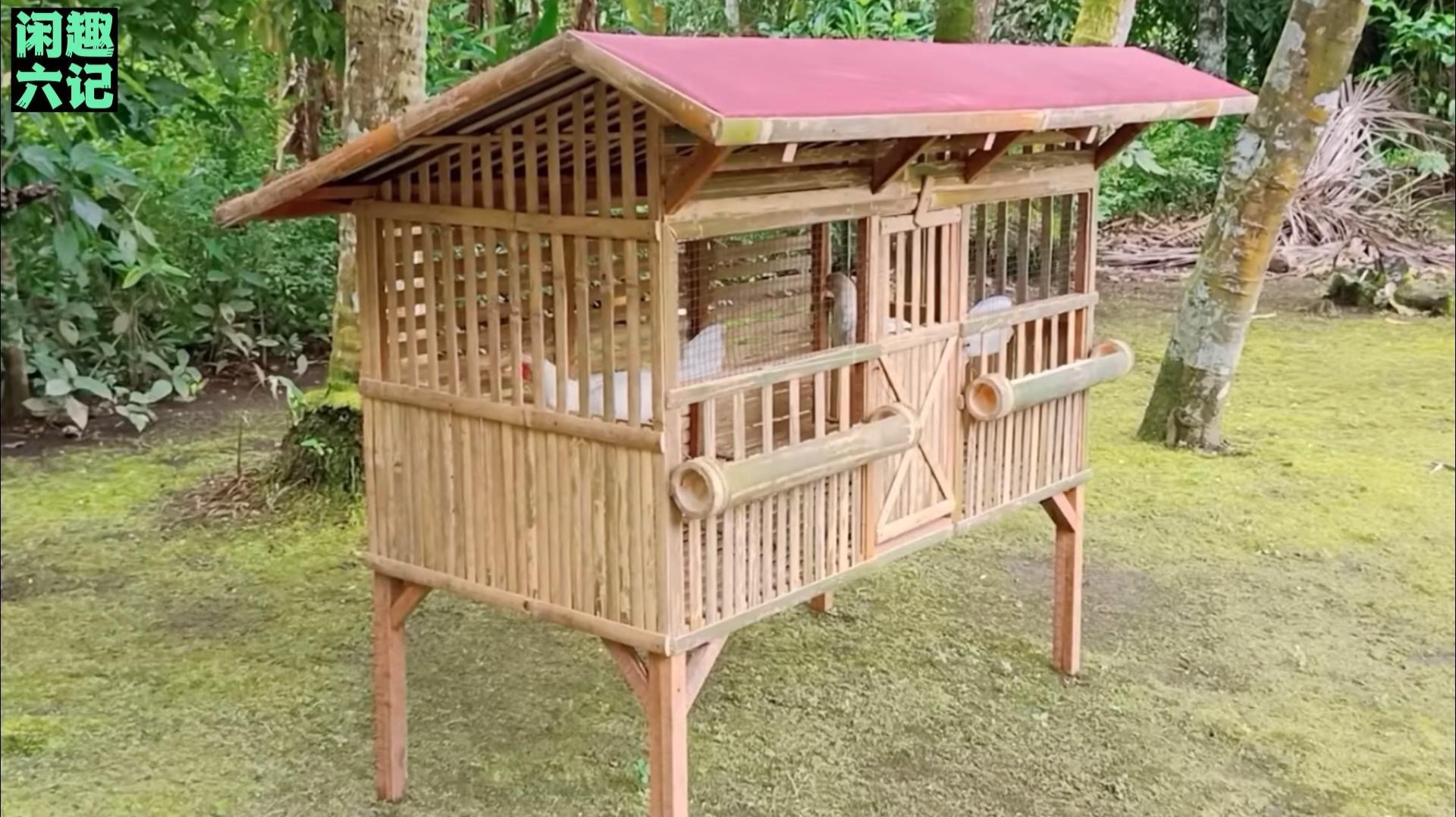 "鸡笼哥"教你做鸡笼 看完你也轻松做(第5集)附有具体尺寸 #手工diy