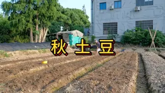 Download Video: 秋季土豆什么时候种，怎么种植