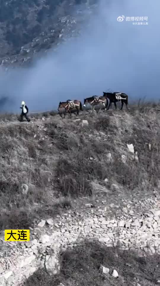 [图]金州大黑山顶峰现马帮