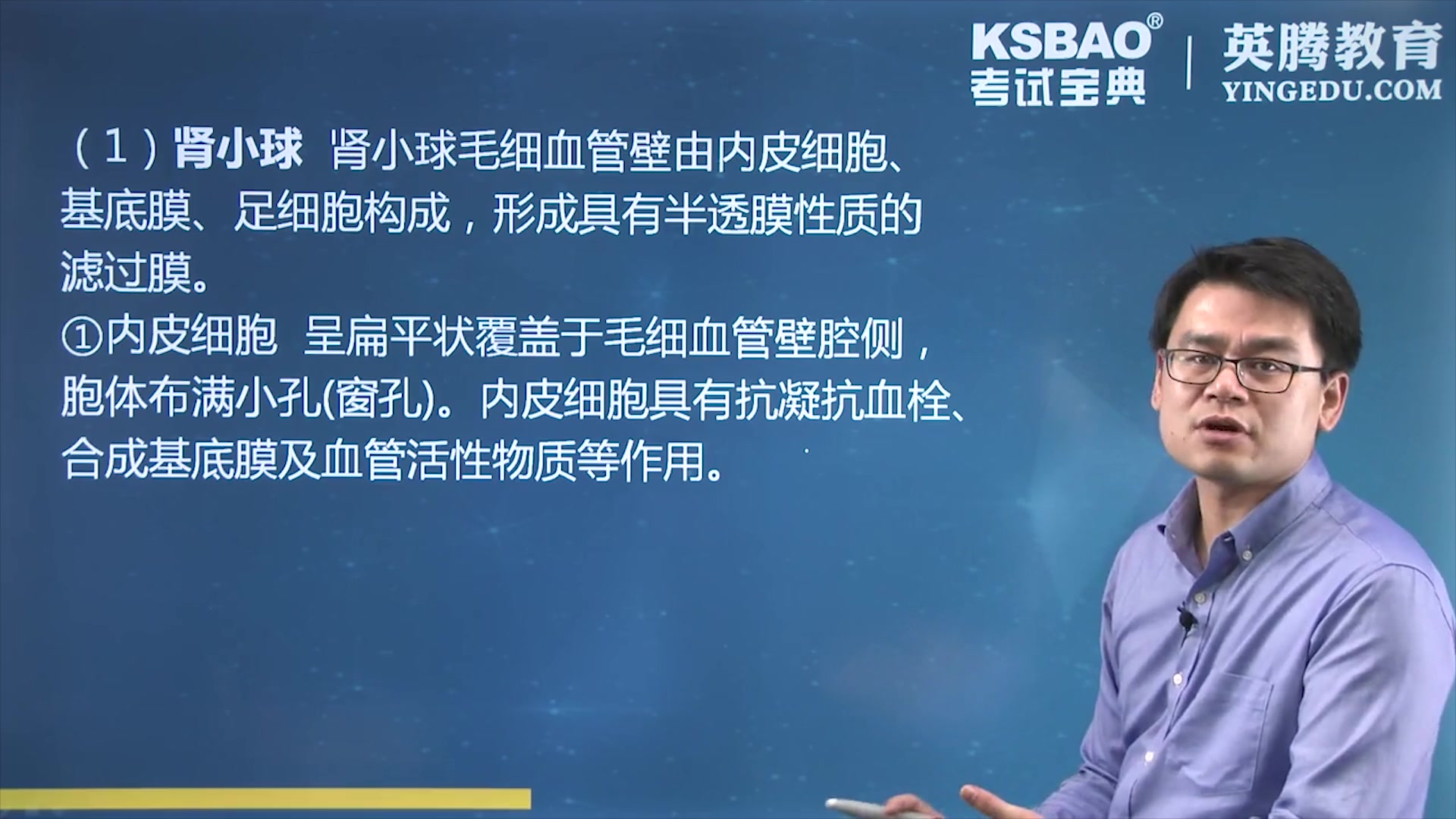 山河医学网考试宝典主治医师考试:肾内科肾的解剖与生理功能哔哩哔哩bilibili