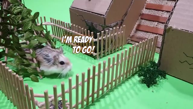 为自家仓鼠设计了一个8层的神庙逃亡系列迷宫