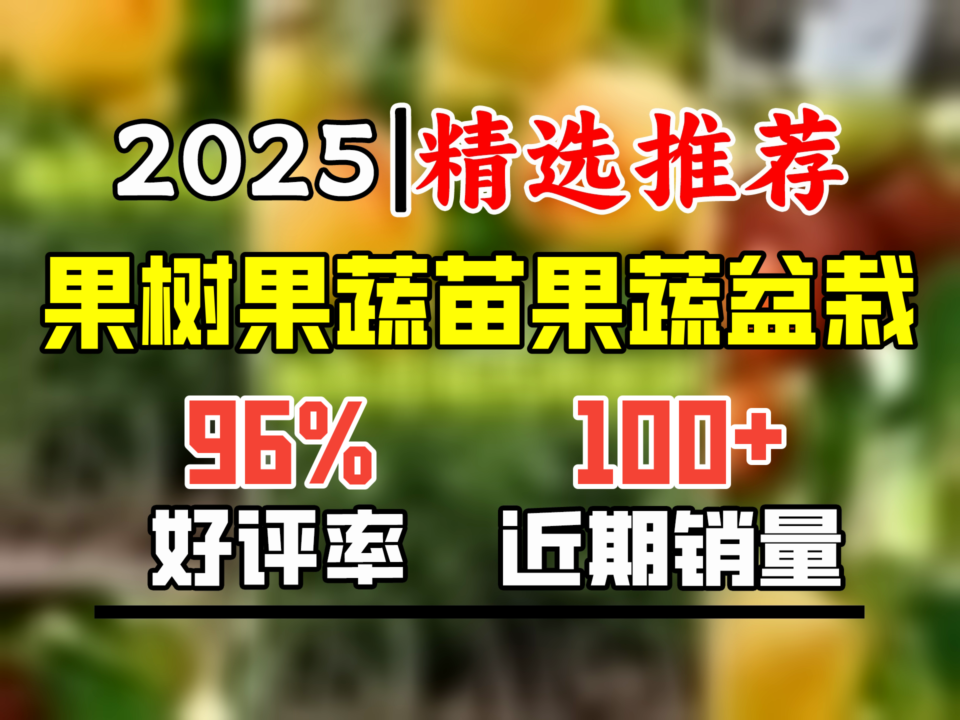 阿木木特大果枣树苗 嫁接枣子树苗庭院阳台盆栽地栽果树苗南方北方种植 沾化冬枣5年以上结果苗 75cm150高度左右哔哩哔哩bilibili