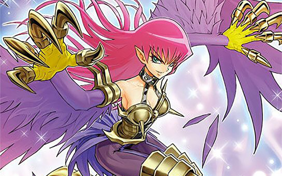 【游戏王决斗链接国际服】神鹰女郎卡组对战展示