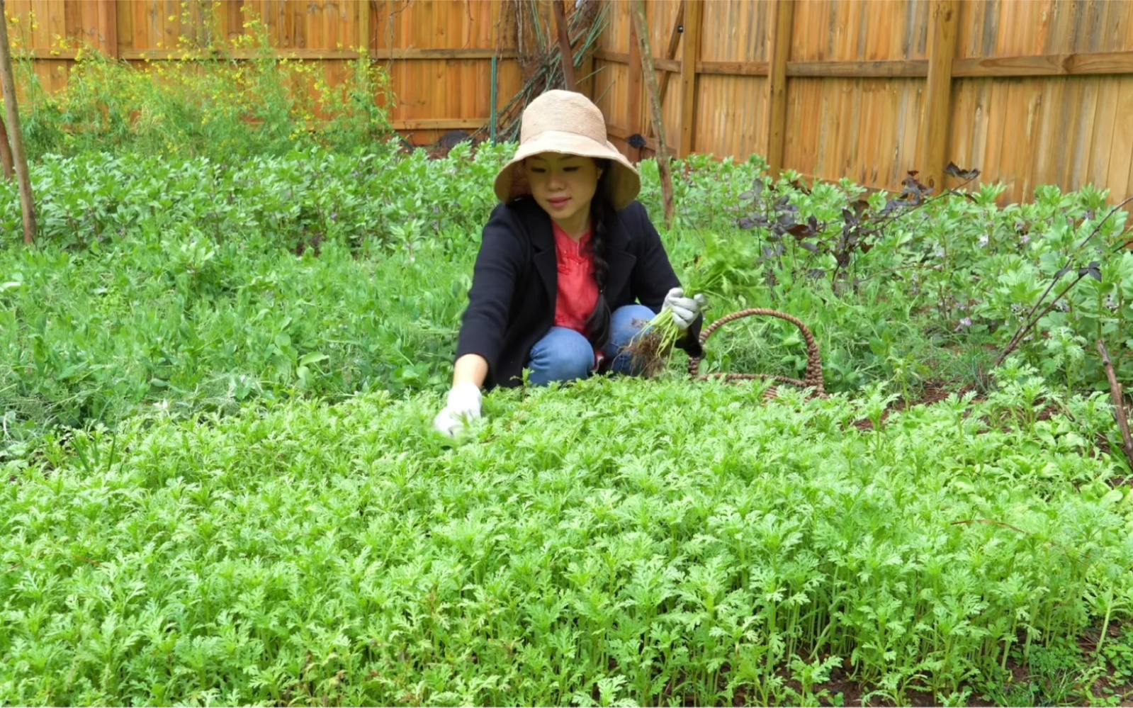 春暖花开万物复苏,小小菜园生机勃勃,随手采上几样蔬菜做成简单美食哔哩哔哩bilibili