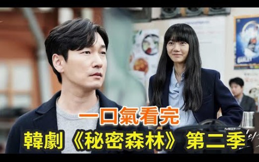 韩剧《秘密森林》第二季一口气看完,豆瓣高分改下韩剧续作烂尾定律,曹承佑、裴斗娜原班人马再合作哔哩哔哩bilibili