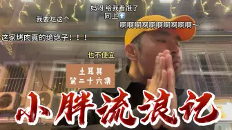 Download Video: 【土耳其】众里寻她，终于在伊斯坦布尔，找到真正好吃的烤肉了，我要吹爆这家！都给我去吃 第二十六集