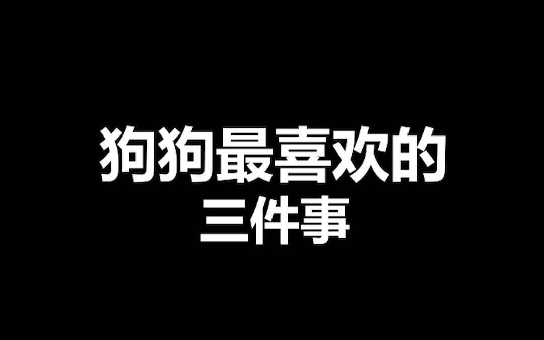 宠物冷知识:如何快速和小狗建立关系,这三件事绝对能帮助你哔哩哔哩bilibili