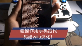 Wiiu从入手到精通不严肃教程 第二期 安装 汉化 跨区游戏 4 30 哔哩哔哩 つロ干杯 Bilibili