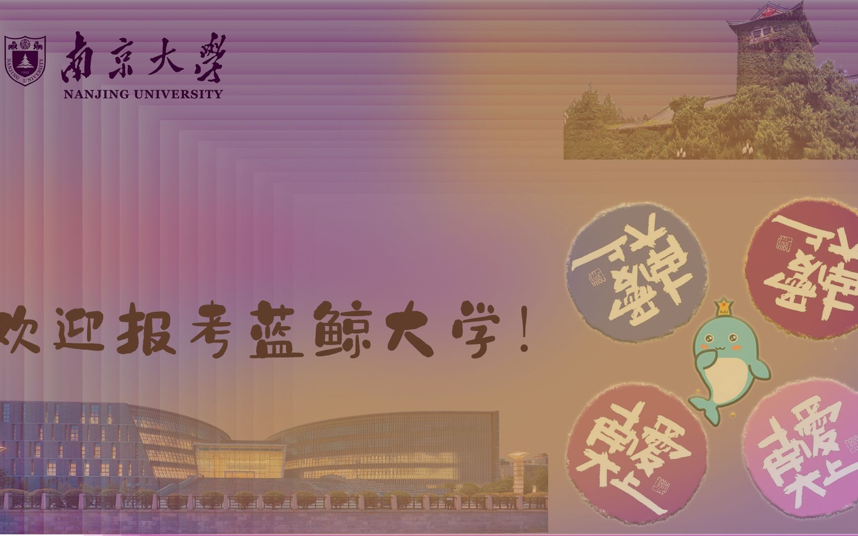 2021南京大学超燃宣传片哔哩哔哩bilibili