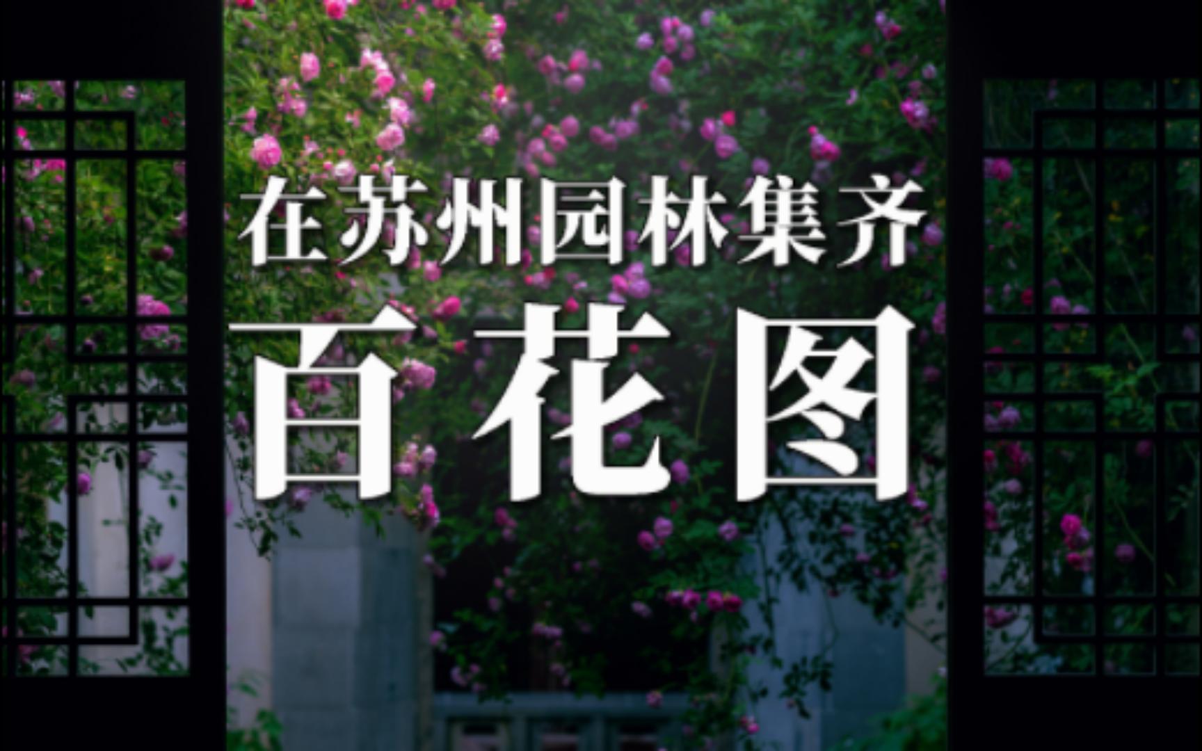 耗费时长两年半,终于在苏州园林看全了100种花.哔哩哔哩bilibili