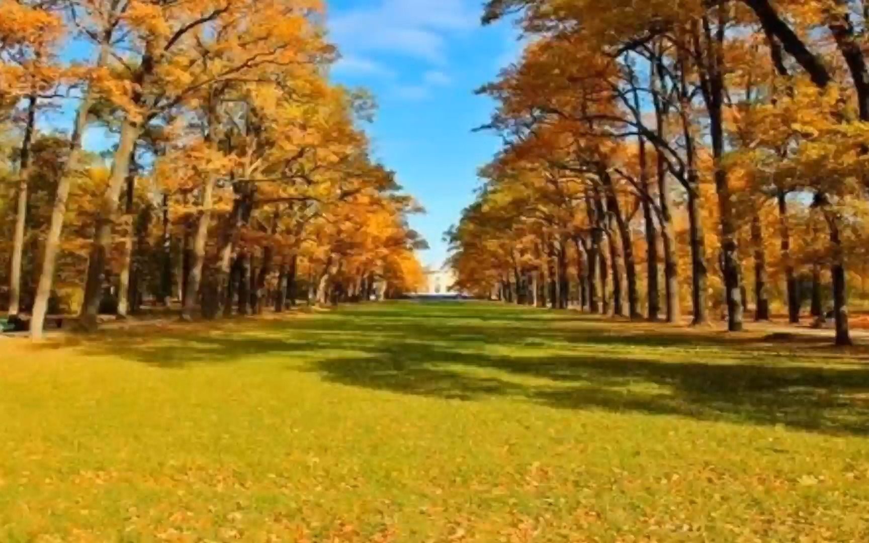 [图]广场舞《你会爱我到什么时候》痴痴的等痴痴地盼，好听伤感情歌