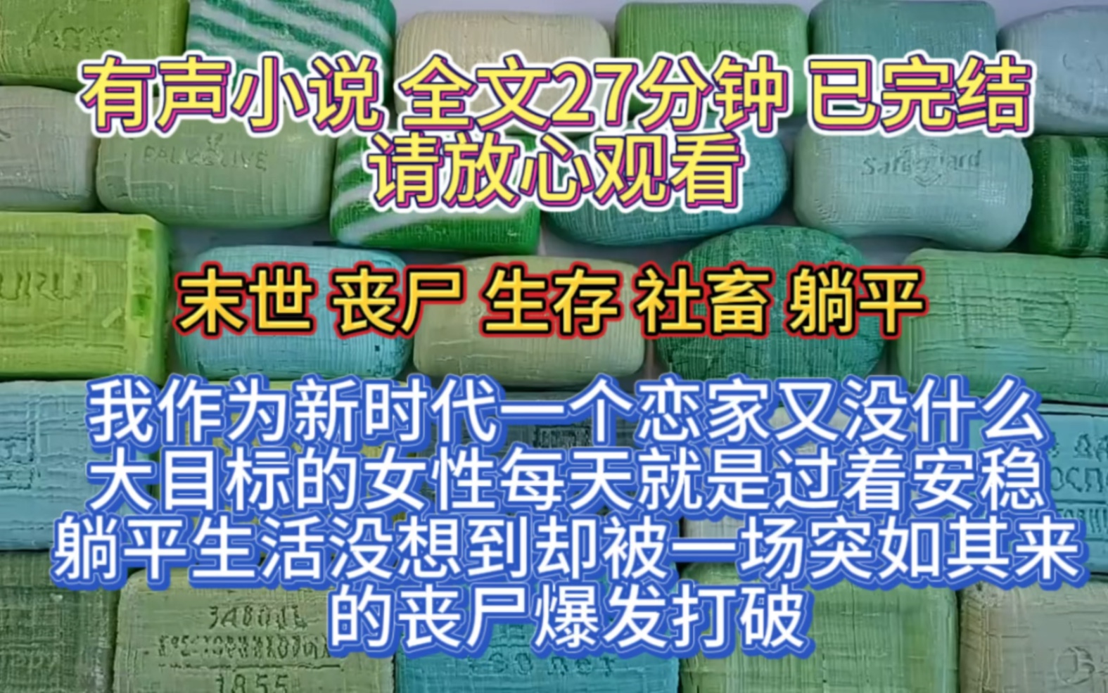 (全文已完结)我作为新时代一下,恋家又没什么大目标的女性,每天就是过着安稳躺平的生活,却没想到被一场突如其来的丧尸爆发打破!哔哩哔哩bilibili