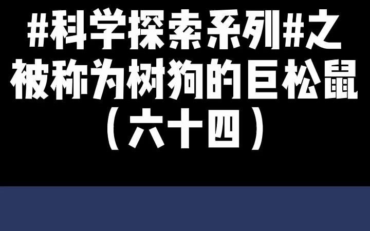 科学探索系列丨树狗是什么动物?它们都有哪些特点呢?哔哩哔哩bilibili