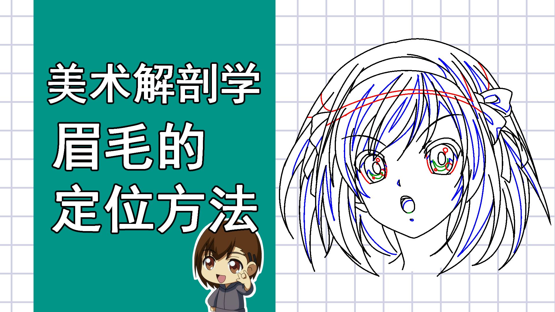 美术解剖学-18-眉毛的定位方法