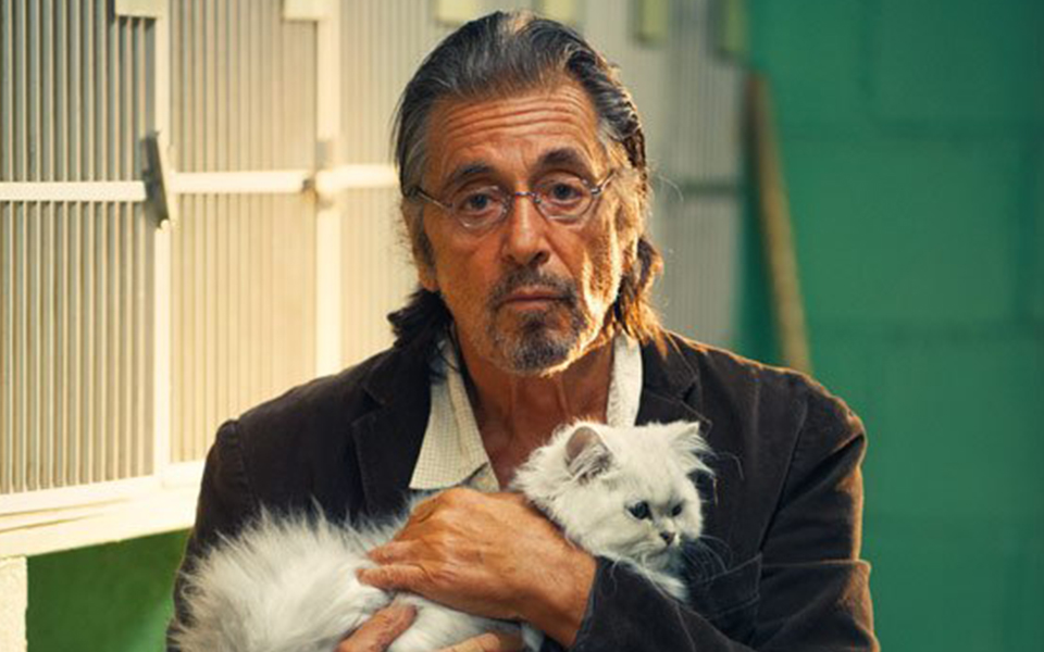 【剧情】破碎之角(2014)【阿尔·帕西诺】