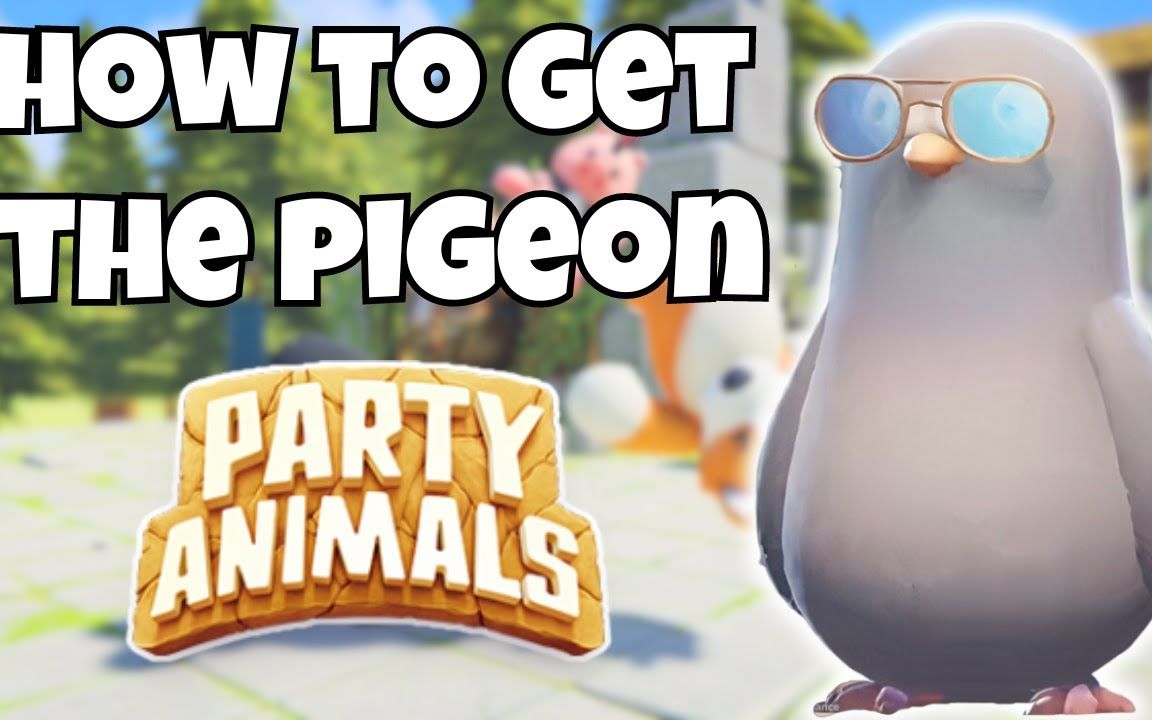 在《动物派对》中如何获得鸽子!(热门游戏)