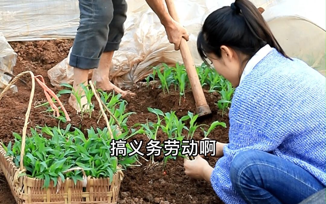 [图]春生春雨春满意，万里春耕备田忙。世事不过劳作苦，苍生皆以食为天。田间地头到处都是忙碌的身影，播种新一年的希望。