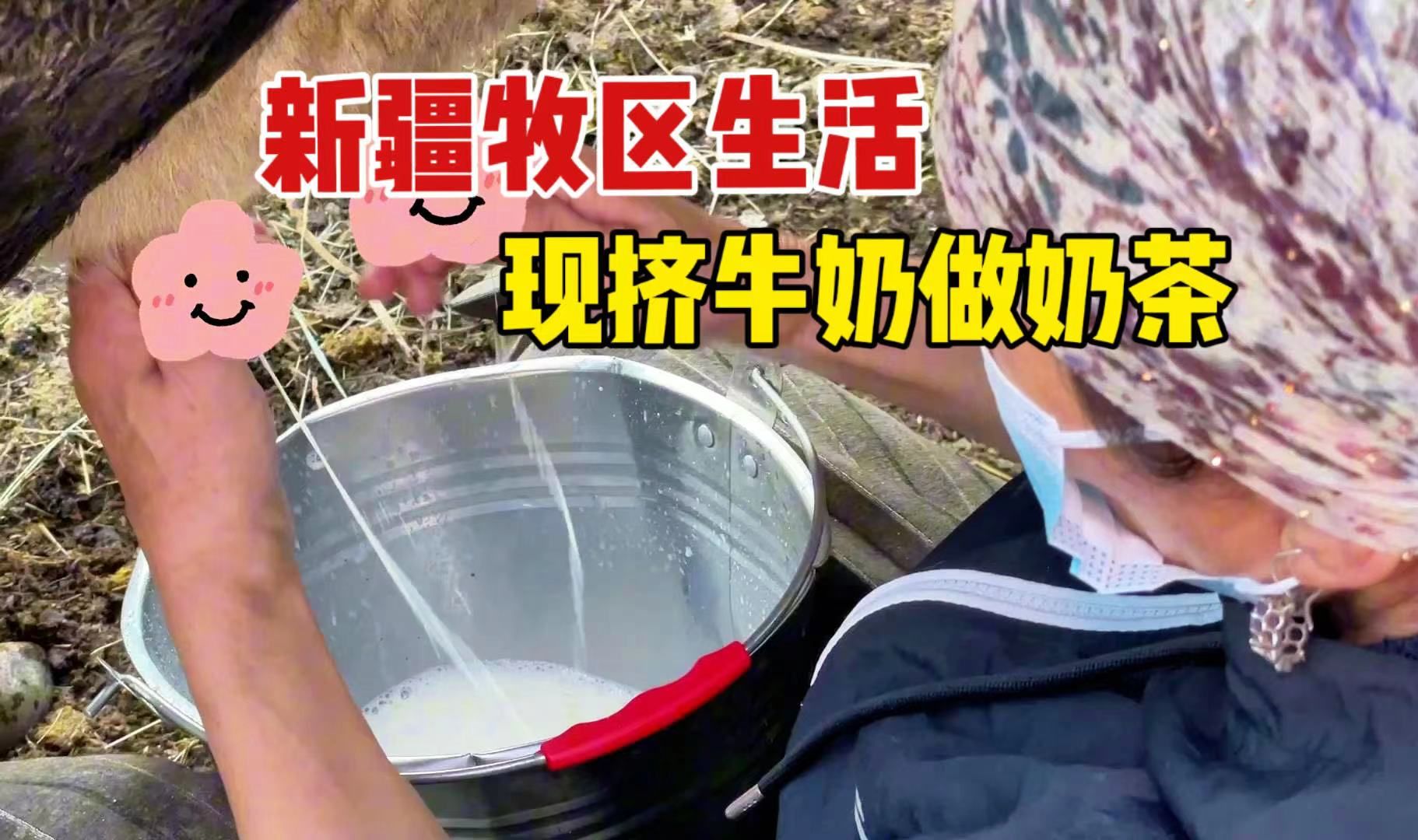 我的娘家在牧区:清晨7点现挤牛奶,妈妈教授哈萨克族奶茶秘诀哔哩哔哩bilibili