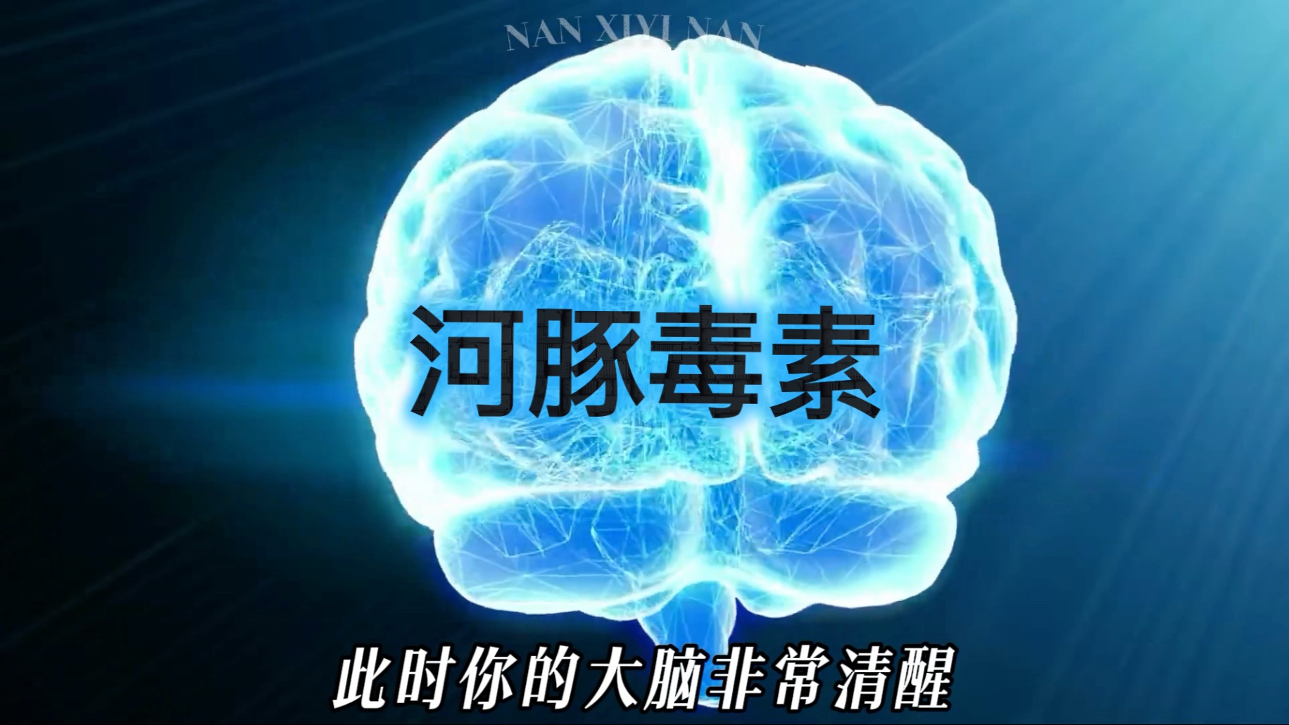 河豚毒是大自然中最致命的毒素之一，其毒性强、起效快、且无特效解药。对待它，我们必须抱有最高的敬畏之心