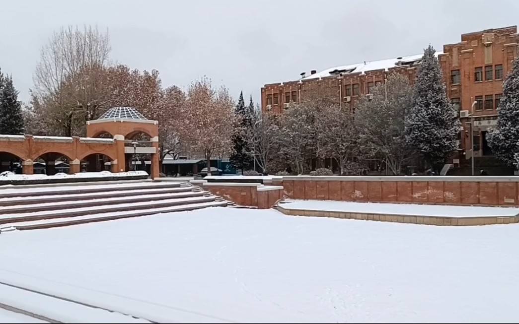 雪后校园,白皑皑的雪盖子