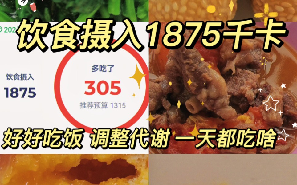 【饮食摄入1875千卡】好好吃饭 调整代谢 一周打卡 记录饮食热量 1875千卡 一天都吃啥哔哩哔哩bilibili