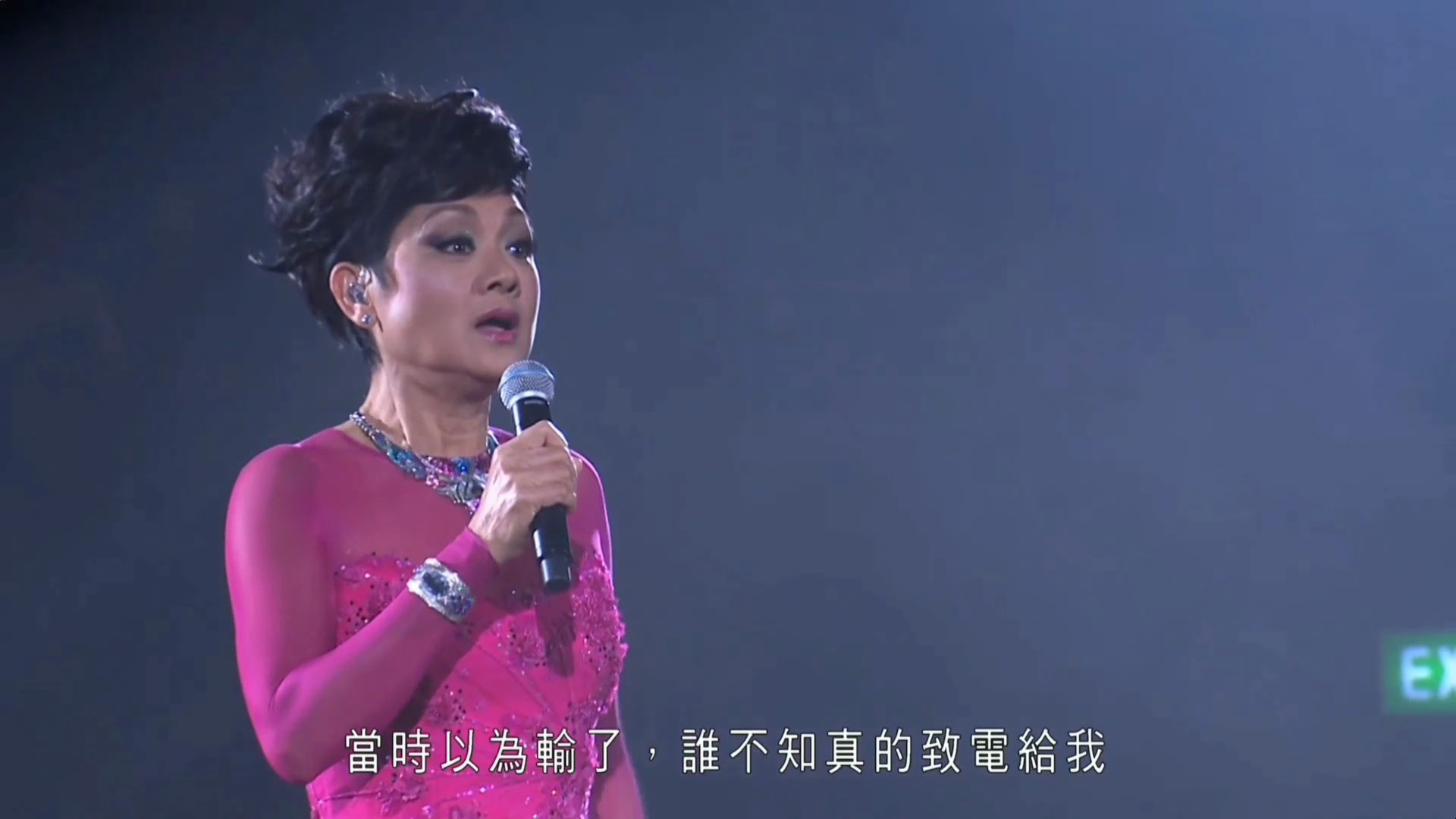 [图]葉麗儀~45年香港情演唱會2015